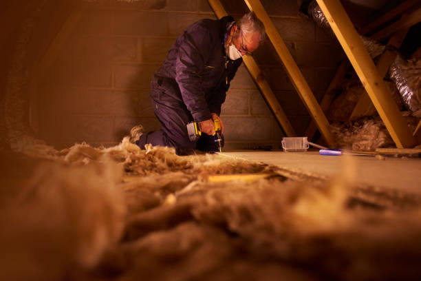 Best Insulation Installation Services in Runge, TX